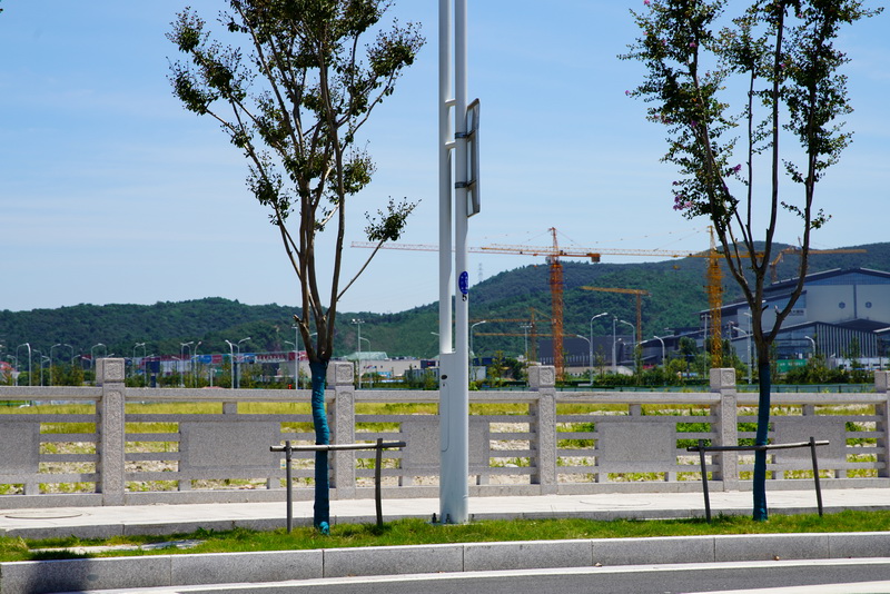 路（lù）燈