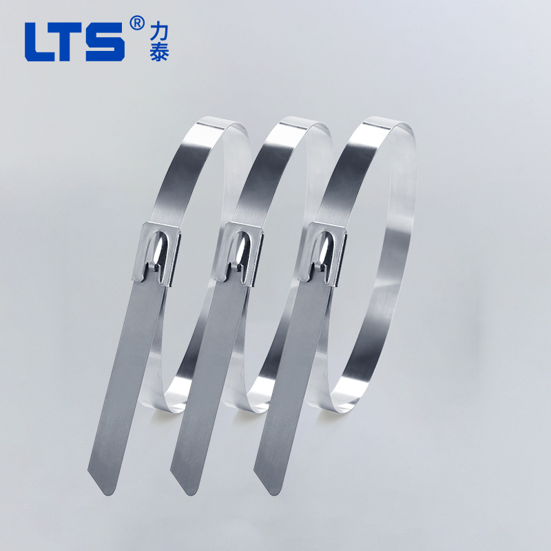 304不（bú）鏽鋼紮帶（dài）